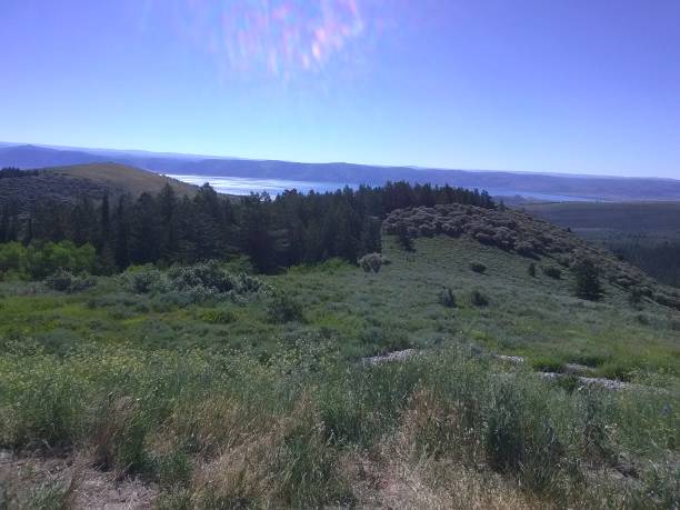 istock Rolling Green Hills to a Shimmering Mountain Lake 1003943596