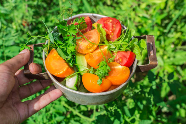 istock fresh tomatoes healthy food 1003951862