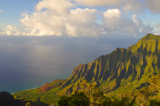 istock Kalalau Lookout, Kauai Hawaii 1003954172