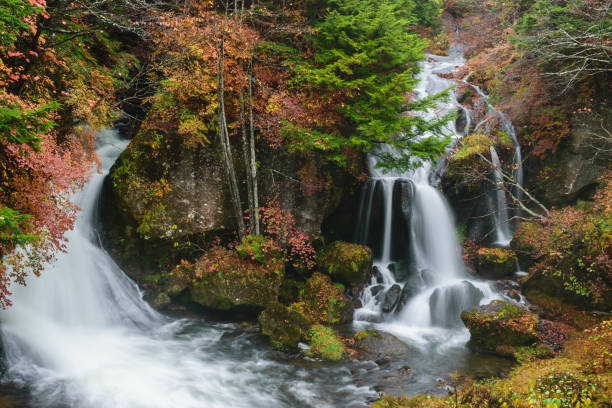 istock Ryuzu Falls with autumn in Nikko Japan 1003970526