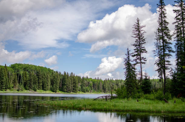 istock Beautiful Canadian Landscape Reflections in the Summer 1003976462