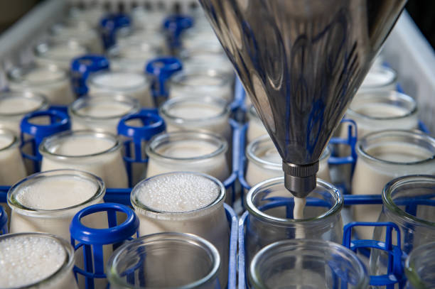 production of yogurt in a farm, homemade cow's milk yoghurt - laticínio imagens e fotografias de stock