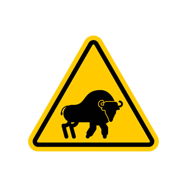 istock Attention Bison. Caution Aurochs. warning Zubr. Admonition Wild Bull Buffalo. Yellow Danger Triangle Road sign. Vector illustration. 1003979648