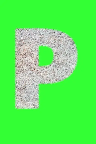 Fonts and Alphabet From Drygrass or Hay Isolate on Green. P.