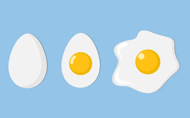 ilustraciones, imágenes clip art, dibujos animados e iconos de stock de closeup de tres huevos: huevos en la cáscara, la mitad y fritos huevo con sombra en ilustración vector azul, acción - eggs fried egg egg yolk isolated