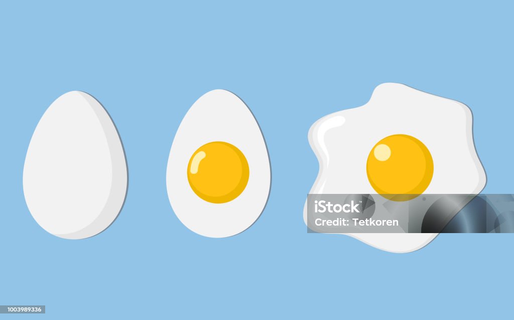 three eggs closeup: egg in shell, half and fried egg with shadow on blue, stock vector illustration Fried Egg stock vector