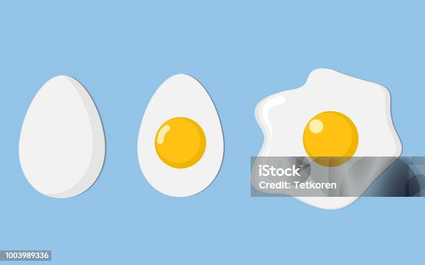 Three Eggs Closeup Egg In Shell Half And Fried Egg With Shadow On Blue Stock Vector Illustration Stock Illustration - Download Image Now