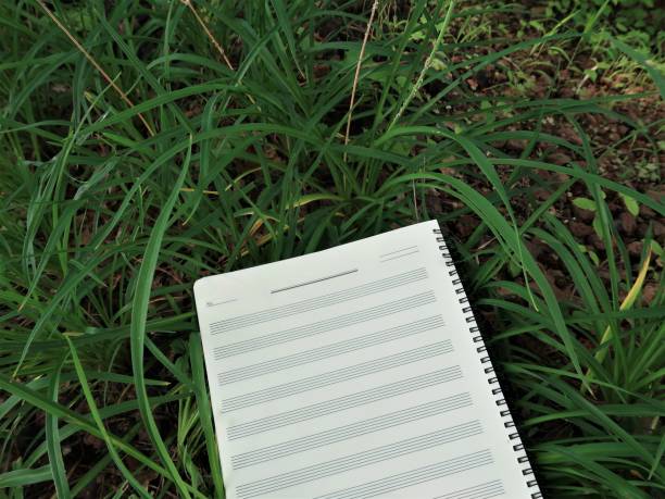 istock blank music paper and nature 1003989830