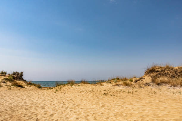 istock blue sea behind the beach 1003992546