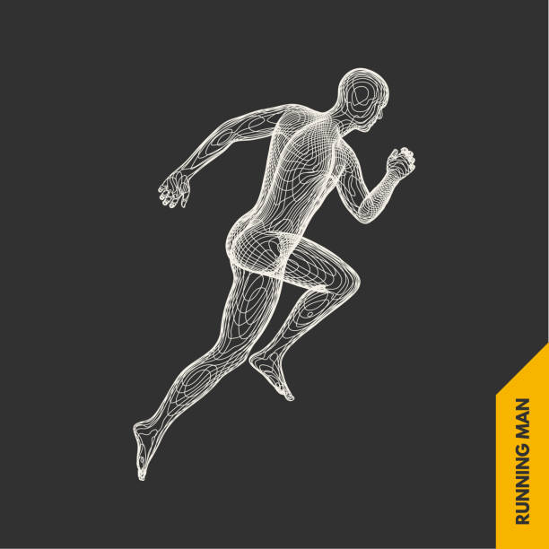istock 3d running man. Design for sport, business, science and technology. Vector illustration. Human body. 1003997736