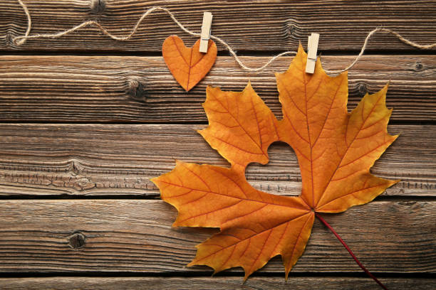 istock Dry maple leaf with heart on brown wooden table 1004001592