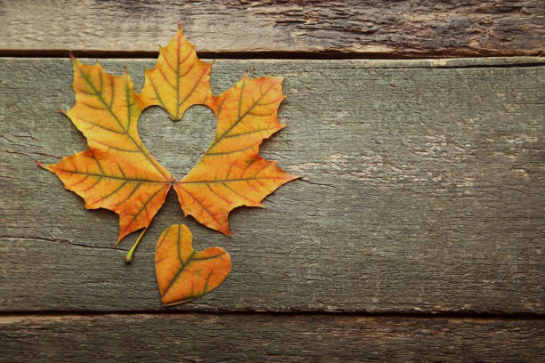 istock Dry maple leaf with heart on grey wooden table 1004003910