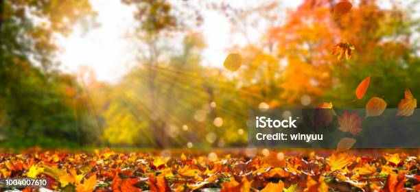 Fall Leaves In Idyllic Landscape Stock Photo - Download Image Now - Autumn, Falling, Backgrounds