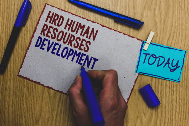 istock Conceptual hand writing showing Hrd Human Resources Development. Business photo text helping employees develop personal skills Man holding marker paper clothespin express ideas wooden table. 1004019436