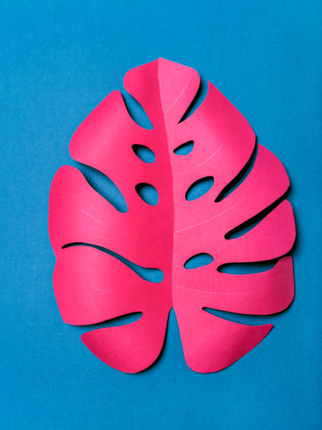 istock Paper leaf of pink color. 1004021604