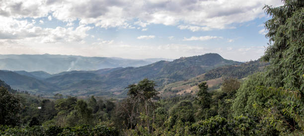 istock landscape mountain with agriculture 1004021978
