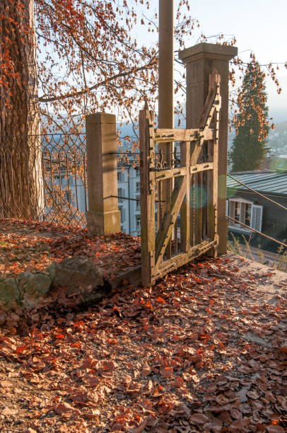 Wooden gate in the garden, autumn