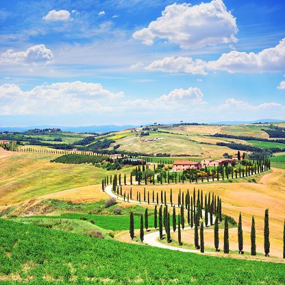 Rolling Landscape of Tuscany in sunny day, Italy. Composite photo