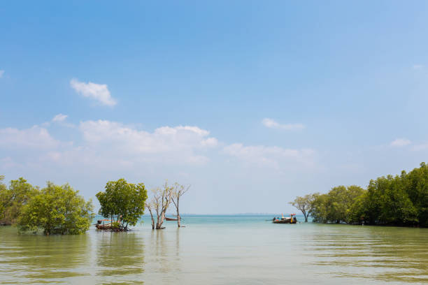 istock Tropical landscape of Koh Mook 1004027072