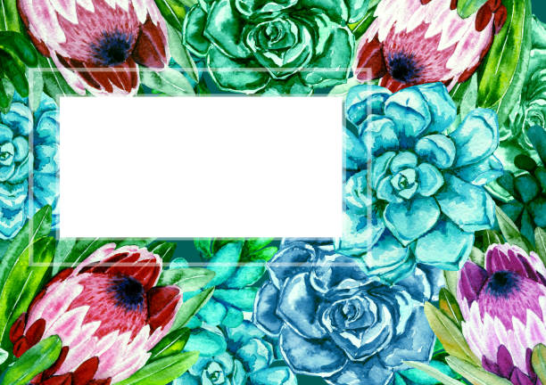 istock Watercolor frame. Succulents with protea flowers. Color cacti. 1004029710