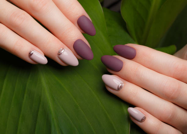 Tender neat manicure on female hands on green leaves background. Nail design Tender neat manicure on female hands on a background of green leaves. Nail design fingernail stock pictures, royalty-free photos & images