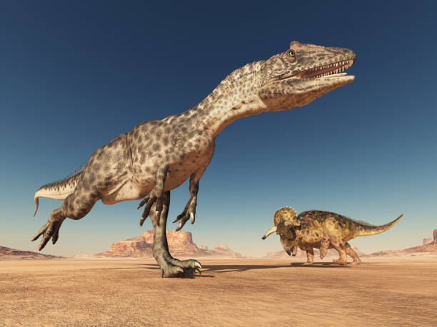 istock Allosaurus and Nasutoceratops in the desert 1004049844