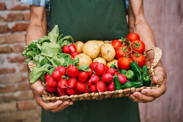 istock Farmer holding basket with vegetables 1004049894