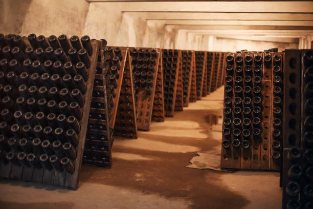 istock Sparkling wine glass bottles in winery 1004057454