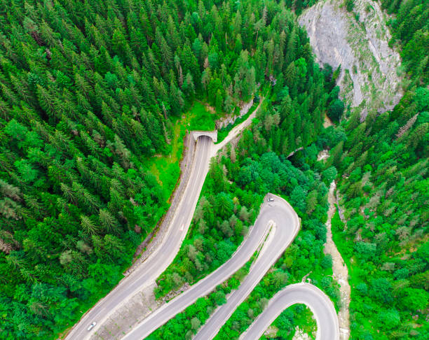 istock tunnel entrance in forest. aerial view 1004062280