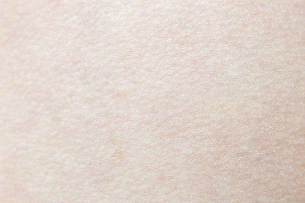 istock Pattern of human skin with cells and lines texture. 1004070392