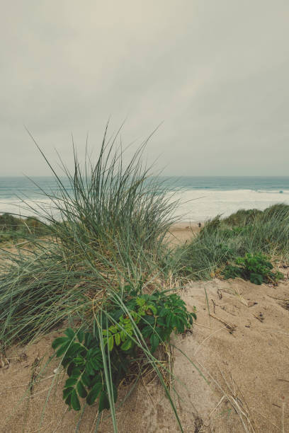 istock Overcast June day over Fistral Beach, Newquay, Cornwall. 1004070732