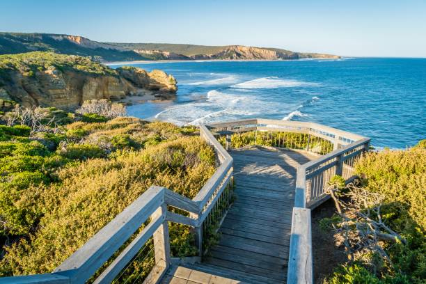 istock Attis point view and lookout on the Great Ocean Road, Australia 1004080888