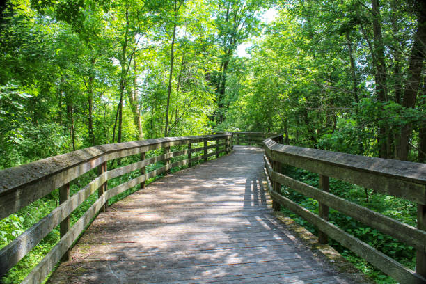 istock Wooden footbridge through the park 1004086532