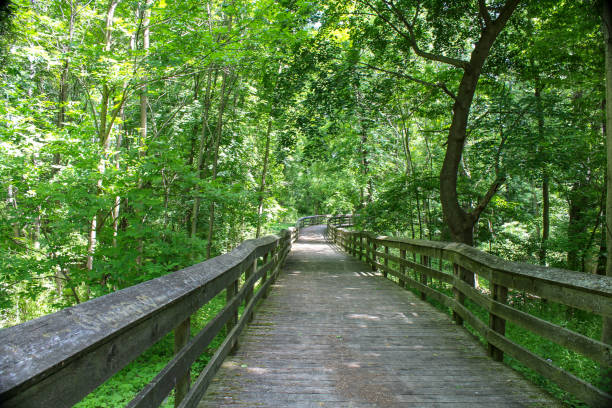 istock Wooden footbridge through the park 1004086538