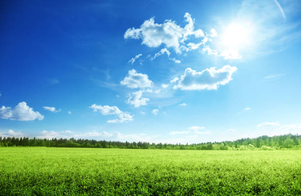 istock field of grass and perfect sky 1004089792