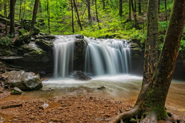 istock Debord Waterfall At Frozen Head State Park 1004090290