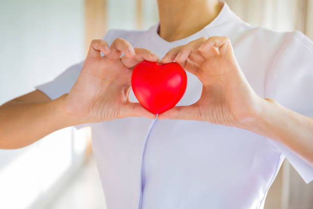 istock Nurse showing heart model in hospital 1004105712