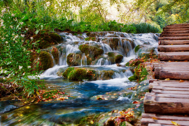 istock Small waterfall, water stream near wooden trail 1004107992