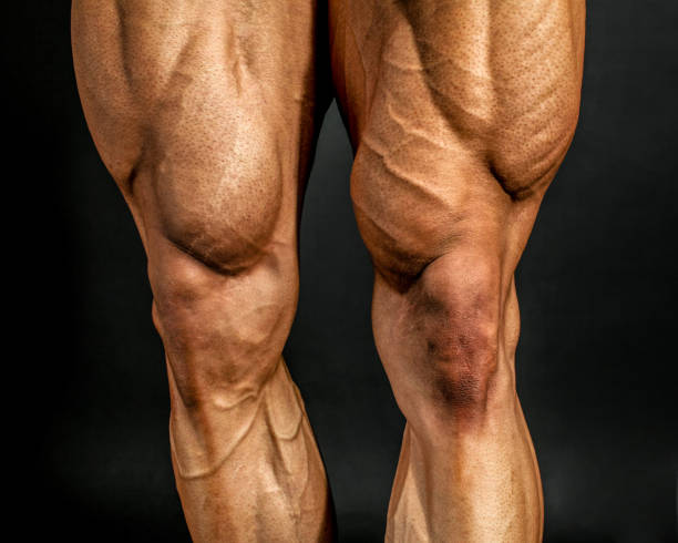 黒の背景に男性のボディービルダー フロント足の筋肉の詳細です。大腿四頭筋、前脛骨筋です。 - thigh ストックフォトと画像