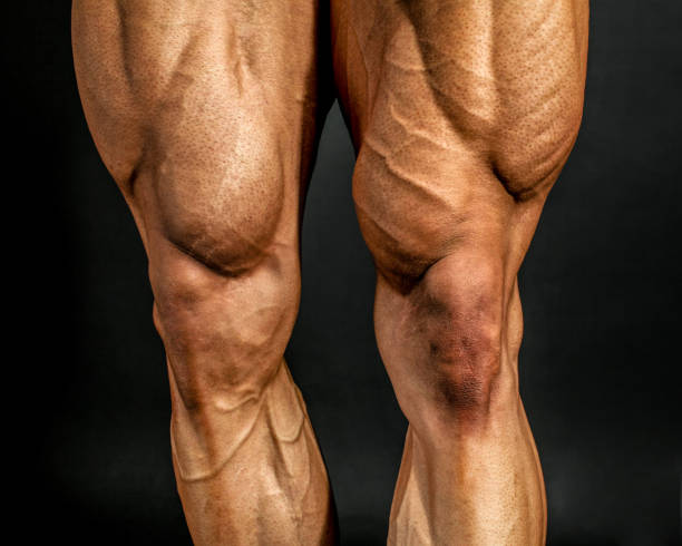 detalhe dos músculos da perna dianteira fisiculturista masculino em fundo preto. quadríceps e tibial anterior. - defined - fotografias e filmes do acervo