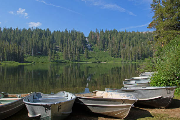 istock Lake fishing 1004110258