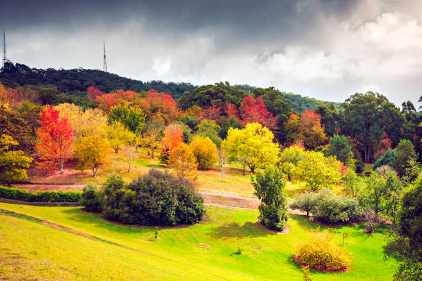 istock Colorful Australian autumn in Adelaide Hills 1004112026