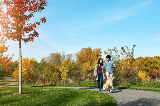 istock Nothing beats a walk with our four-legged child 1004113894