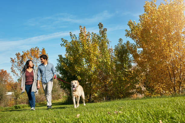 istock It’s a lovely day for a good stroll 1004113998