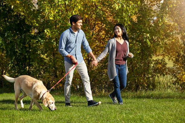 istock Nature provided a beautiful day for us to enjoy 1004114062