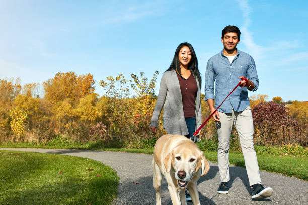 istock Everyone is happy when it comes to walk time 1004114076