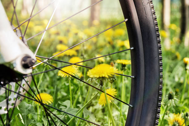 istock Cycling to the nature in spring or summer. 1004114428