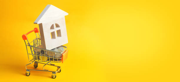Property investment and house mortgage financial concept. buying, renting and selling apartments. real estate. Coins and a wooden house in a Supermarket trolley. credit, affordable housing for young families. banner. copy space casa y propiedad de inversión hipotecaria financiera concepto. compra, alquiler y venta apartamentos. bienes raíces. monedas y una casa de madera en un carro de supermercado. crédito, asequible de la vivienda para las familias jóvenes. bandera. copia e
