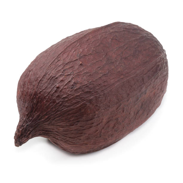 istock Dried cocoa pods isolated on white background 1004117632