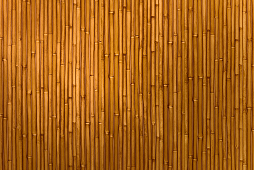 Abstracto fondo de bambú photo
